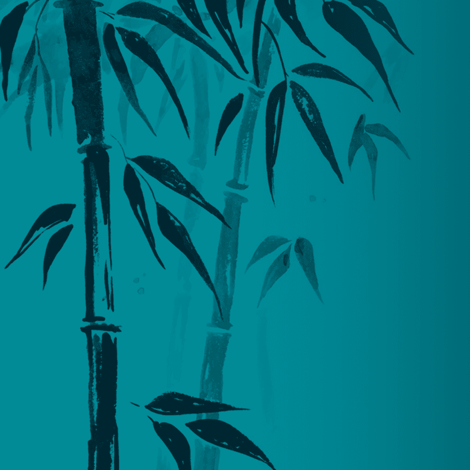 authors_baiphai_125b76b3e6.png