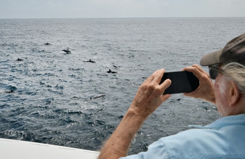 A passenger on a whale watching excursion takes pictures of dolphins in the waters off Long Beach, California