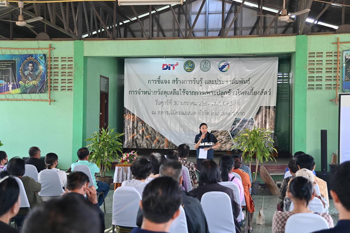 dit-corn-maesot-phopphra-check-SPACEBAR-Photo03.jpg