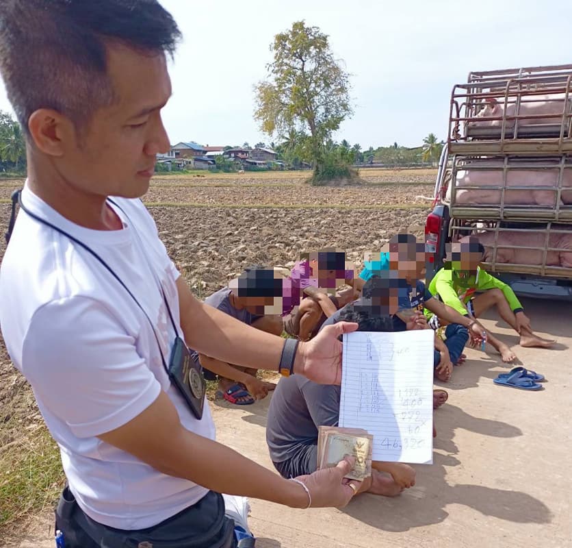 dit_farmer_pigs_weight_scale_mistake_kalasin_SPACEBAR_Photo03_808fbb08a9.jpg