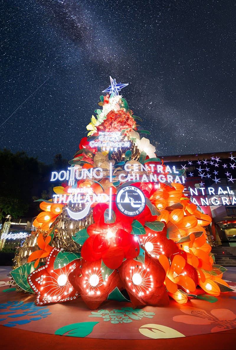 ecoeyes_sustainable_christmas_tree_2024_SPACEBAR_Photo_V04_6fe299bf38.jpg