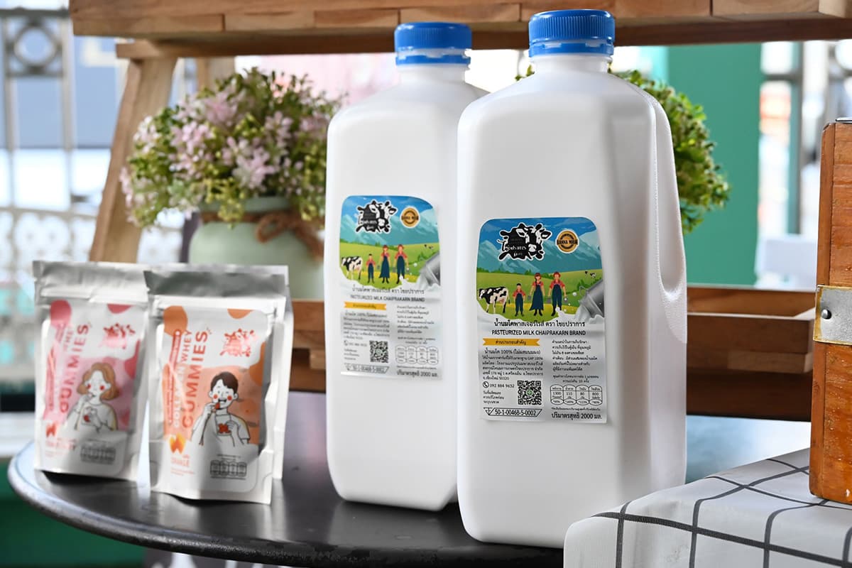 economic-business-thai-dairy-cheese-greek-yogurt-SPACEBAR-Photo02.jpg