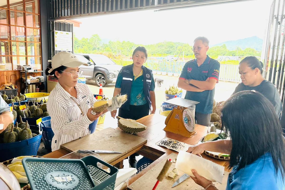 economic-business-thai-durian-production-SPACEBAR-Photo02.jpg