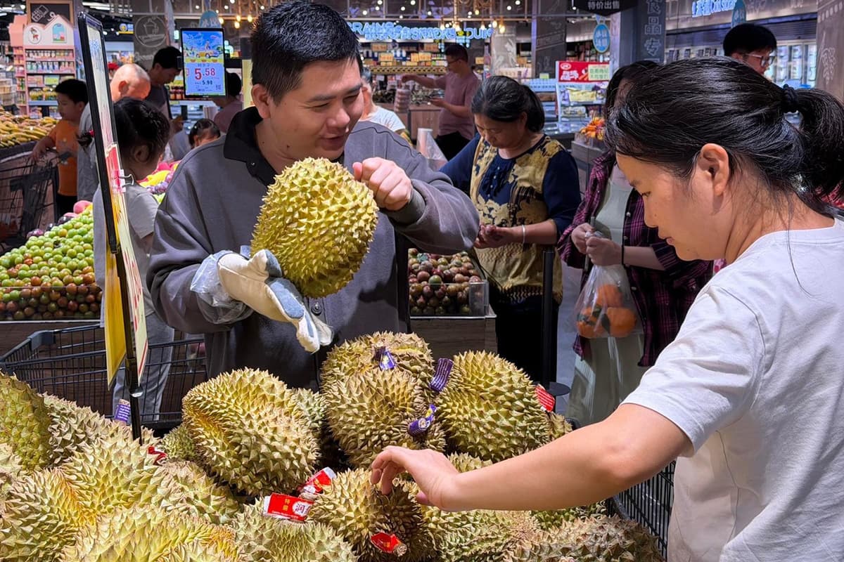 economic-business-thai-fruit-chinesevietnamese-durian-SPACEBAR-Photo01.jpg