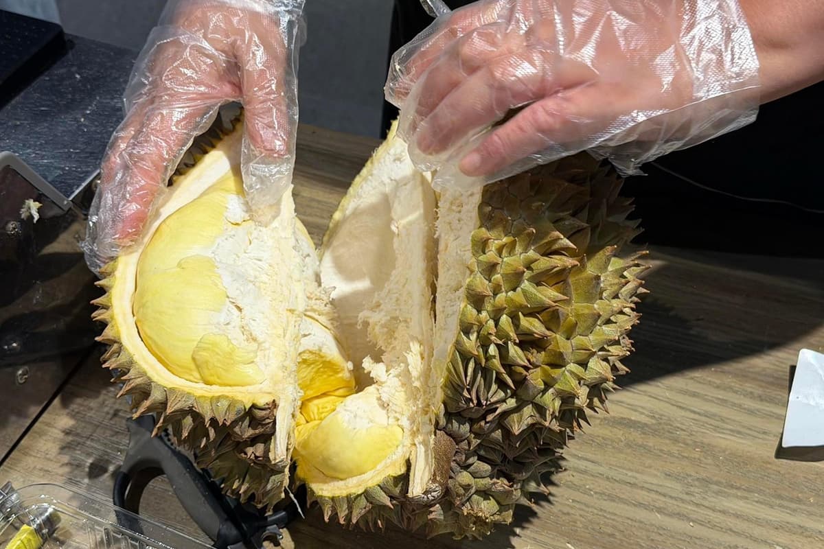 economic-business-thai-fruit-chinesevietnamese-durian-SPACEBAR-Photo02.jpg