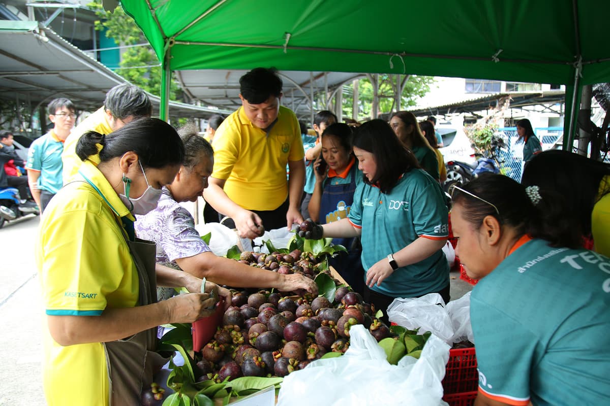 economic-business-thai-fruits-quality-mangosteen-market-SPACEBAR-Photo01.jpg