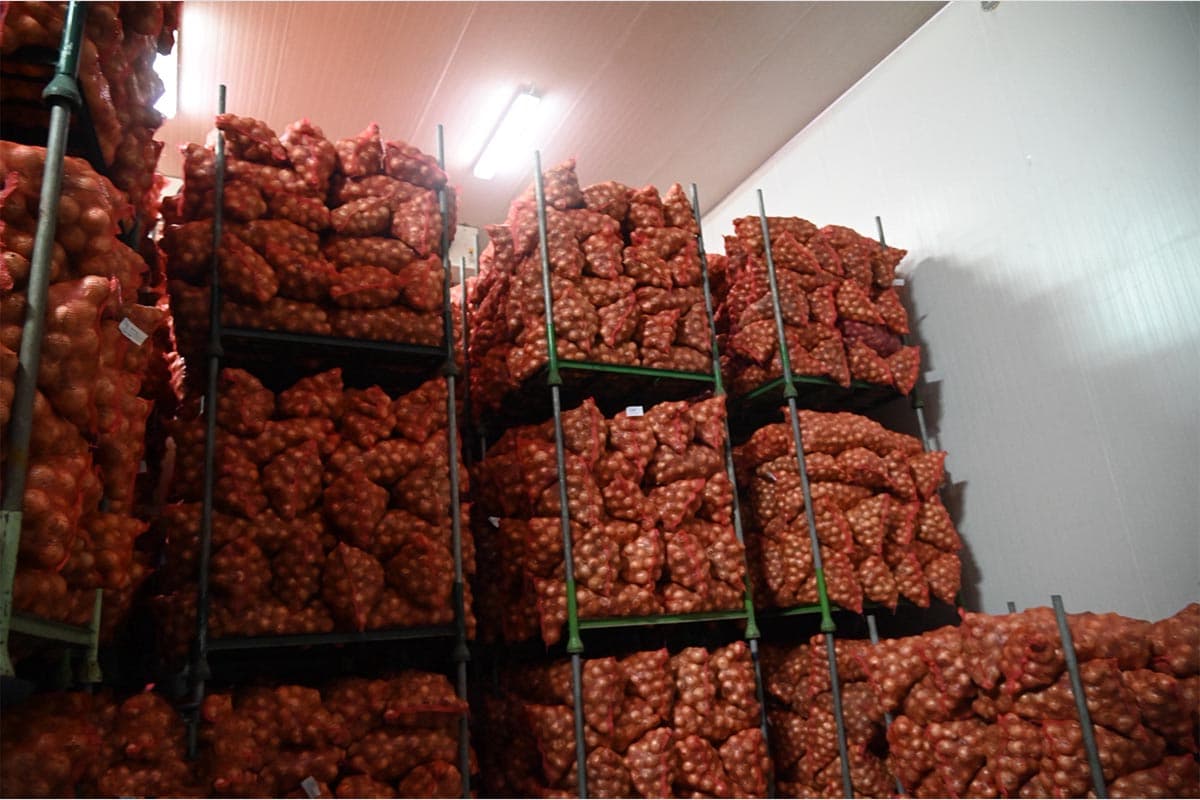 economic-business-thai-onions-SPACEBAR-Photo02.jpg