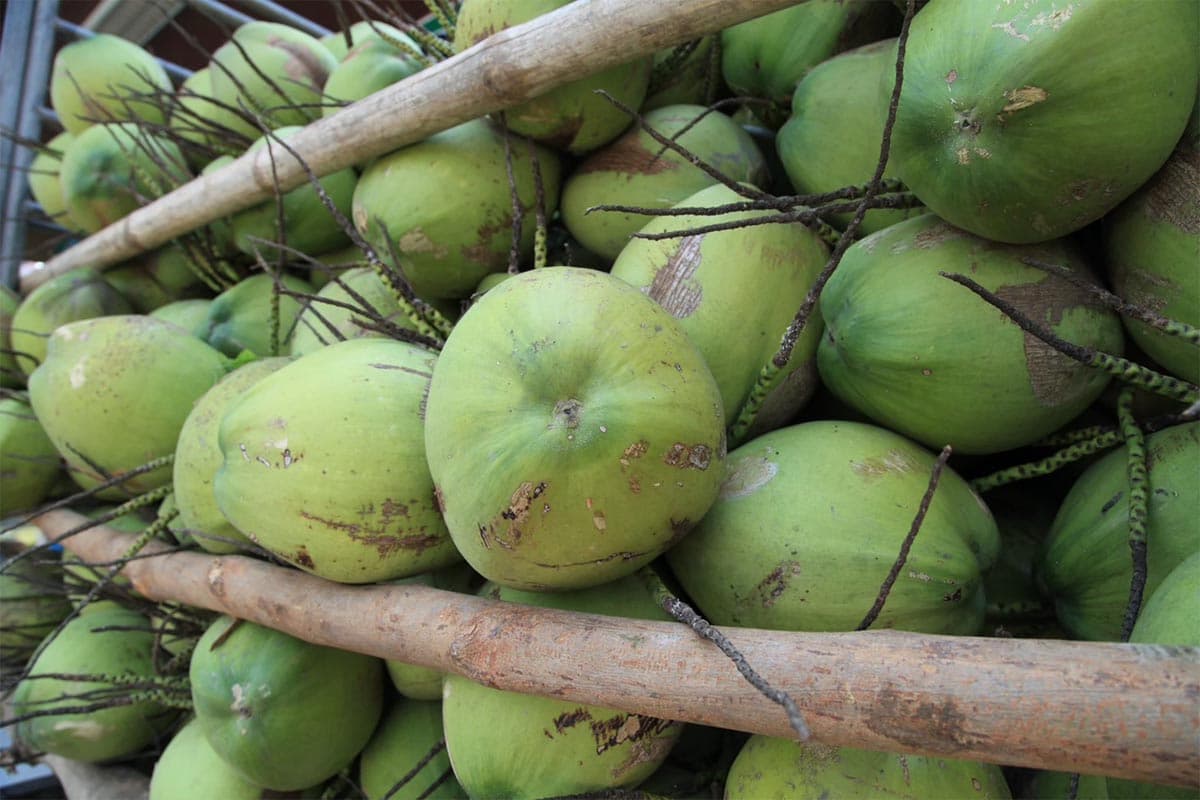 economic-business-thai-price-fragrant-coconut-SPACEBAR-Photo02.jpg