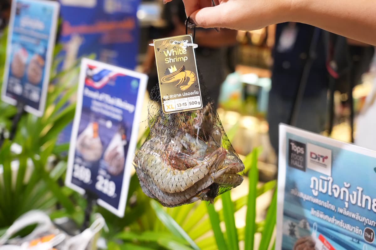 economic-business-thai-shrimp-SPACEBAR-Photo01.jpg
