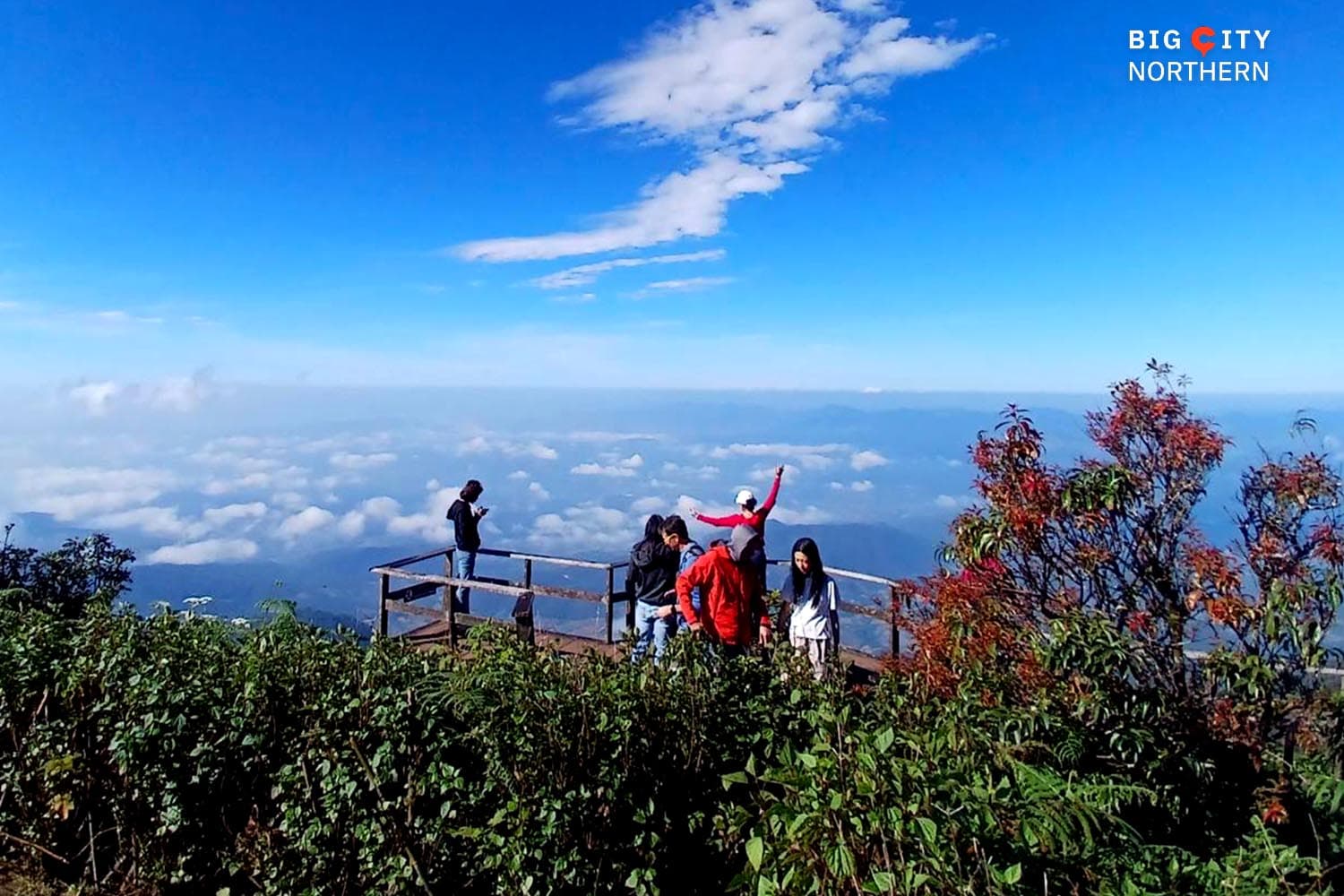 economic_business_chiangmai_festival_tourism_north_SPACEBAR_Hero_9032fdf231.jpg