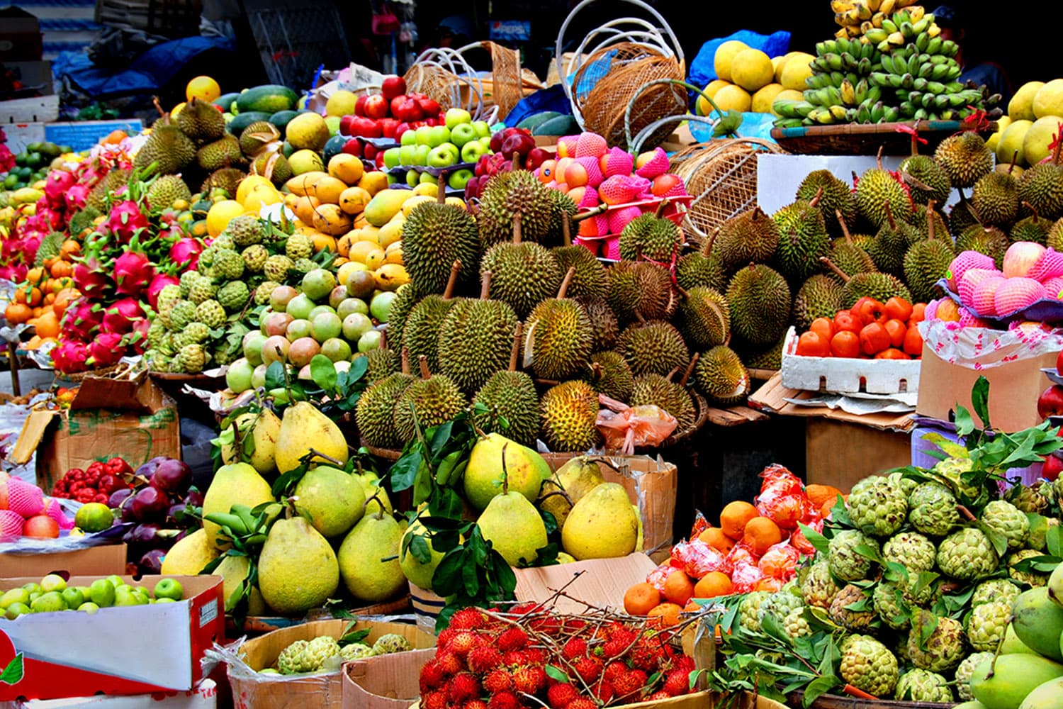 economic_business_thai_fruit_management_consumers_2_SPACEBAR_Hero_d03f8a609f.jpg