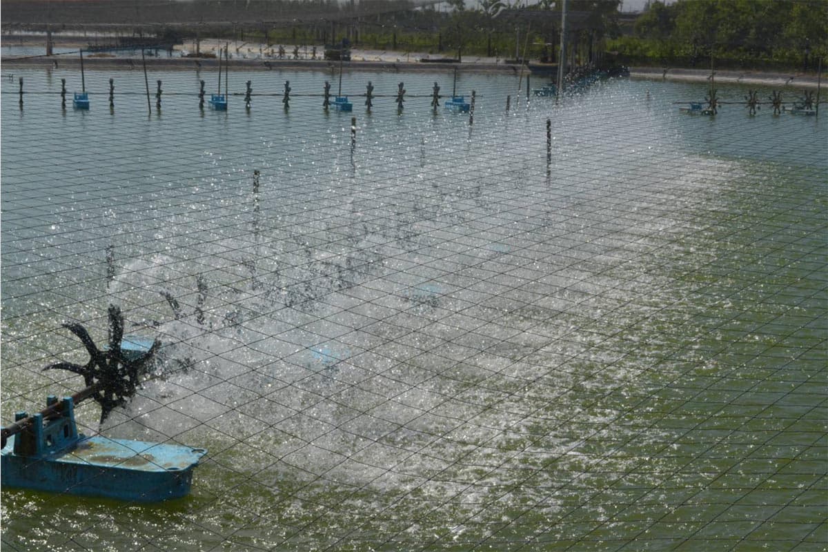 economic_business_thai_low_carbon_aquaculture_SPACEBAR_Photo01_5c13ca0f0e.jpg