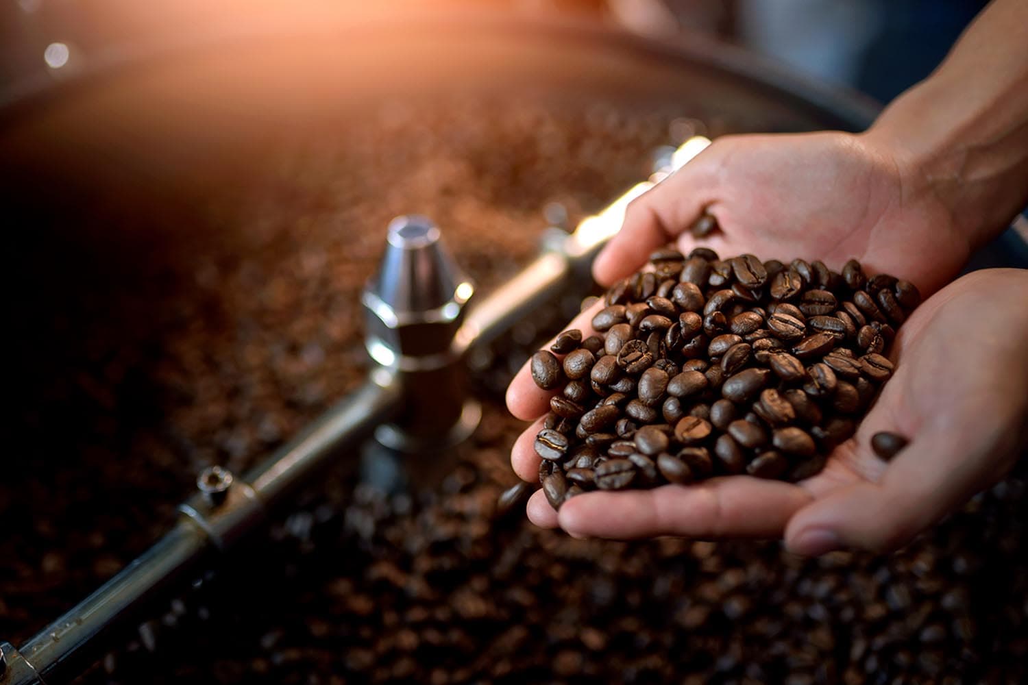 economic_thai_coffee_export_SPACEBAR_Hero_7fe960b20f.jpg