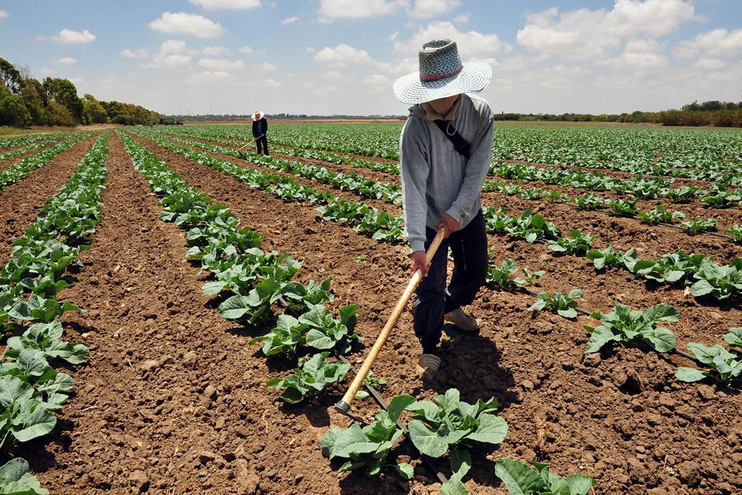 economy_finance_thai_workers_israel_loan_SPACEBAR_Hero_6f3ecf7261.jpg