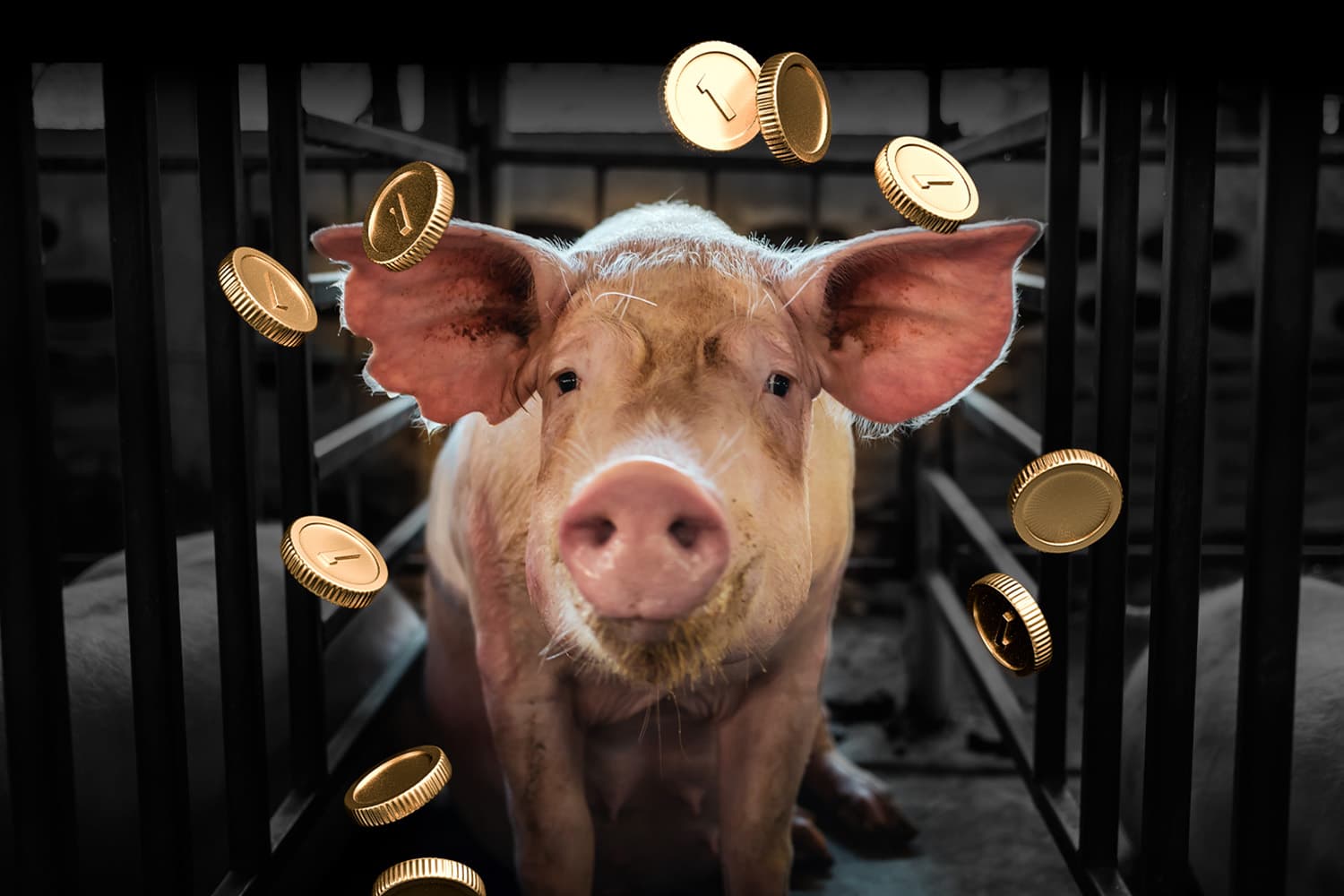 economy_pork_illegitimate_misrepresent_SPACEBAR_Hero_324ff1e0e0.jpg