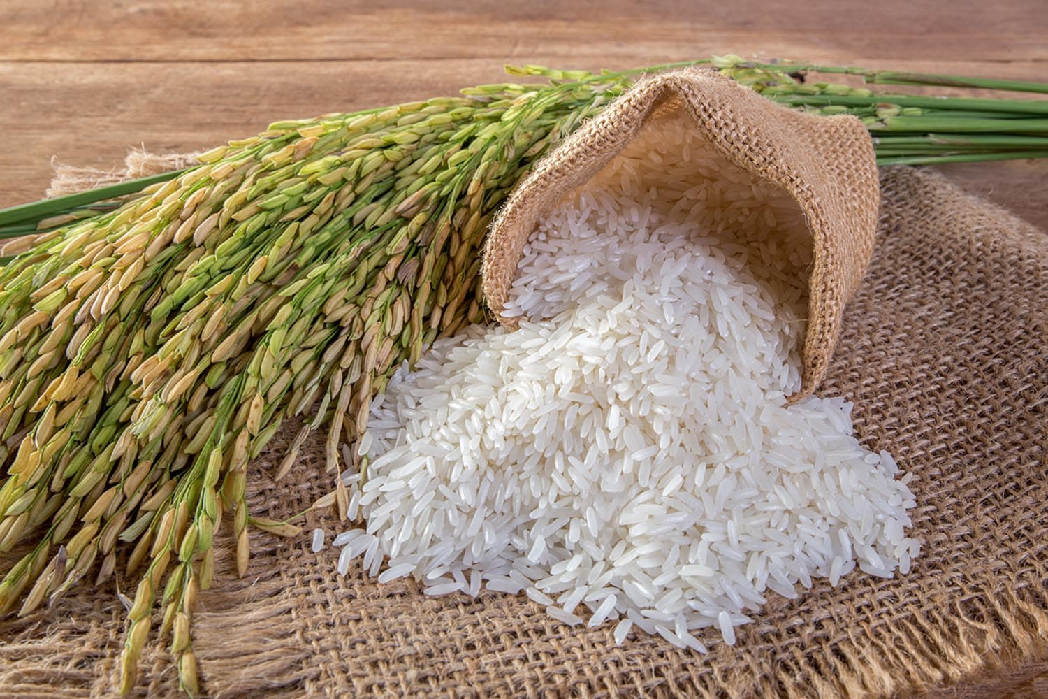 economy_thai_china_jasmine_rice_SPACEBAR_Hero_9563a6dd4e.jpg