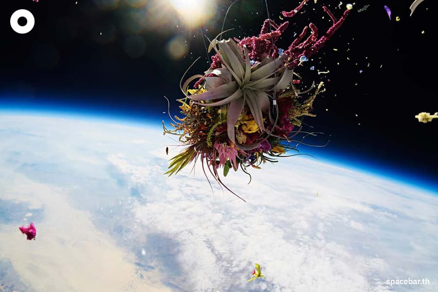 exobiotanica_project_azuma_makoto_SPACEBAR_Photo09_f431a82df0.jpeg