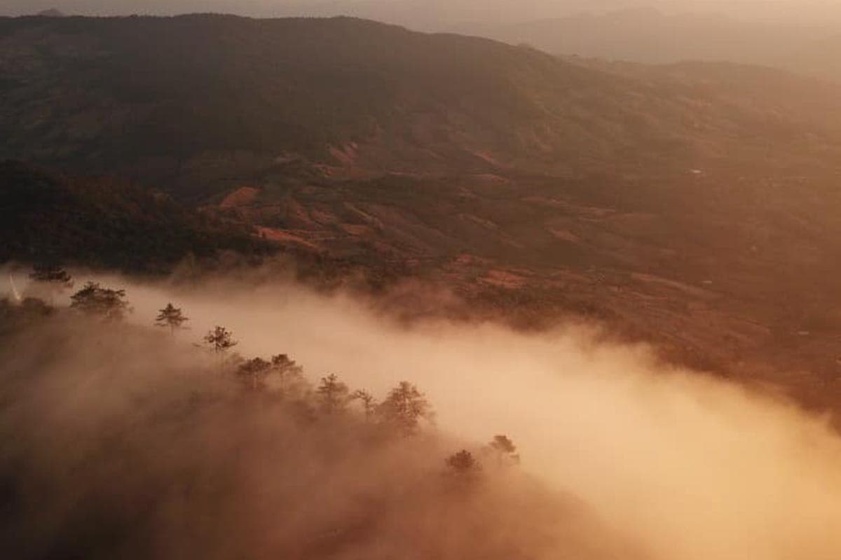 first_light_at_phu_ruea_national_park_SPACEBAR_Photo01_db25619b3f.jpg