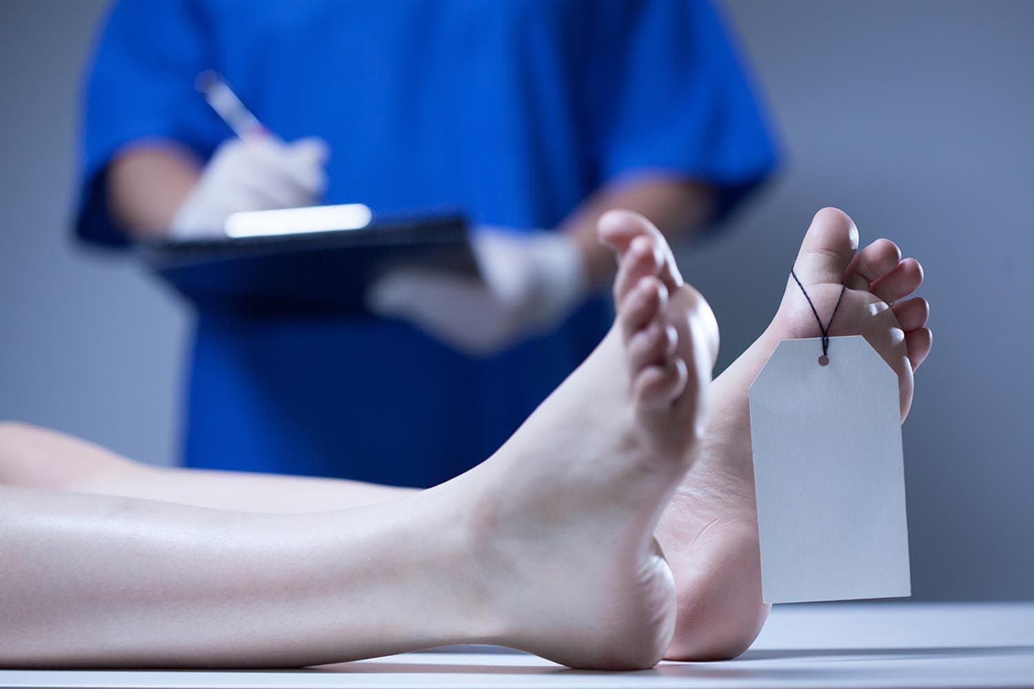 forensic_doctor_reveals_work_with_dead_bodies_SPACEBAR_Hero_07864a7e65.jpg