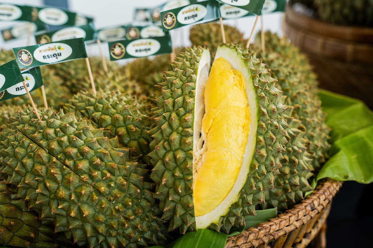 gi-durian-lover-SPACEBAR-Photo03.jpg