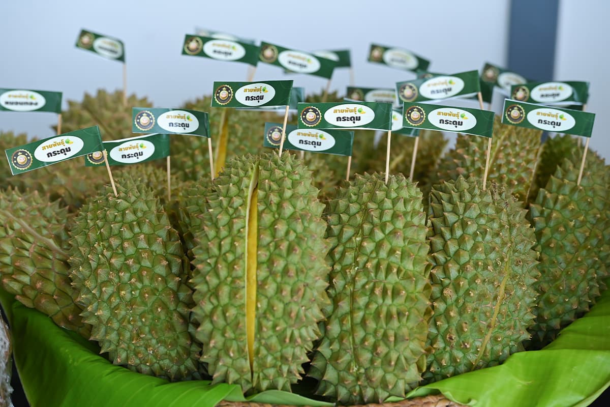 gi-durian-lover-SPACEBAR-Photo04-1.jpg
