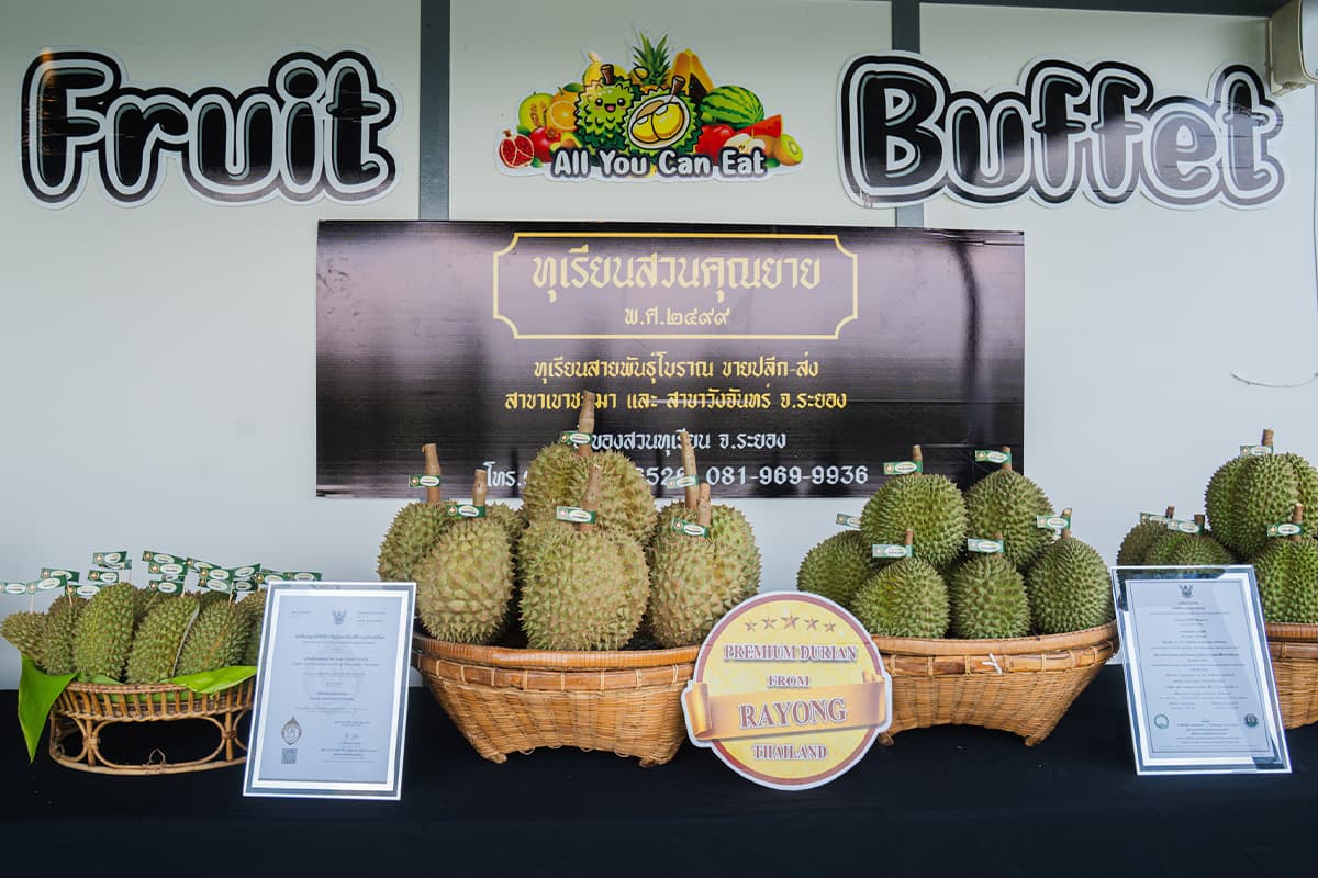 gi-durian-lover-SPACEBAR-Photo06.jpg