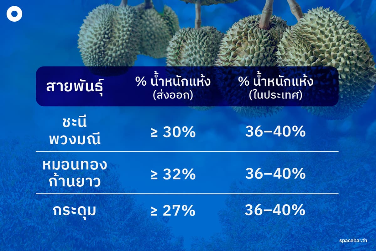 gi-durian-lover-SPACEBAR-Photo09.jpg