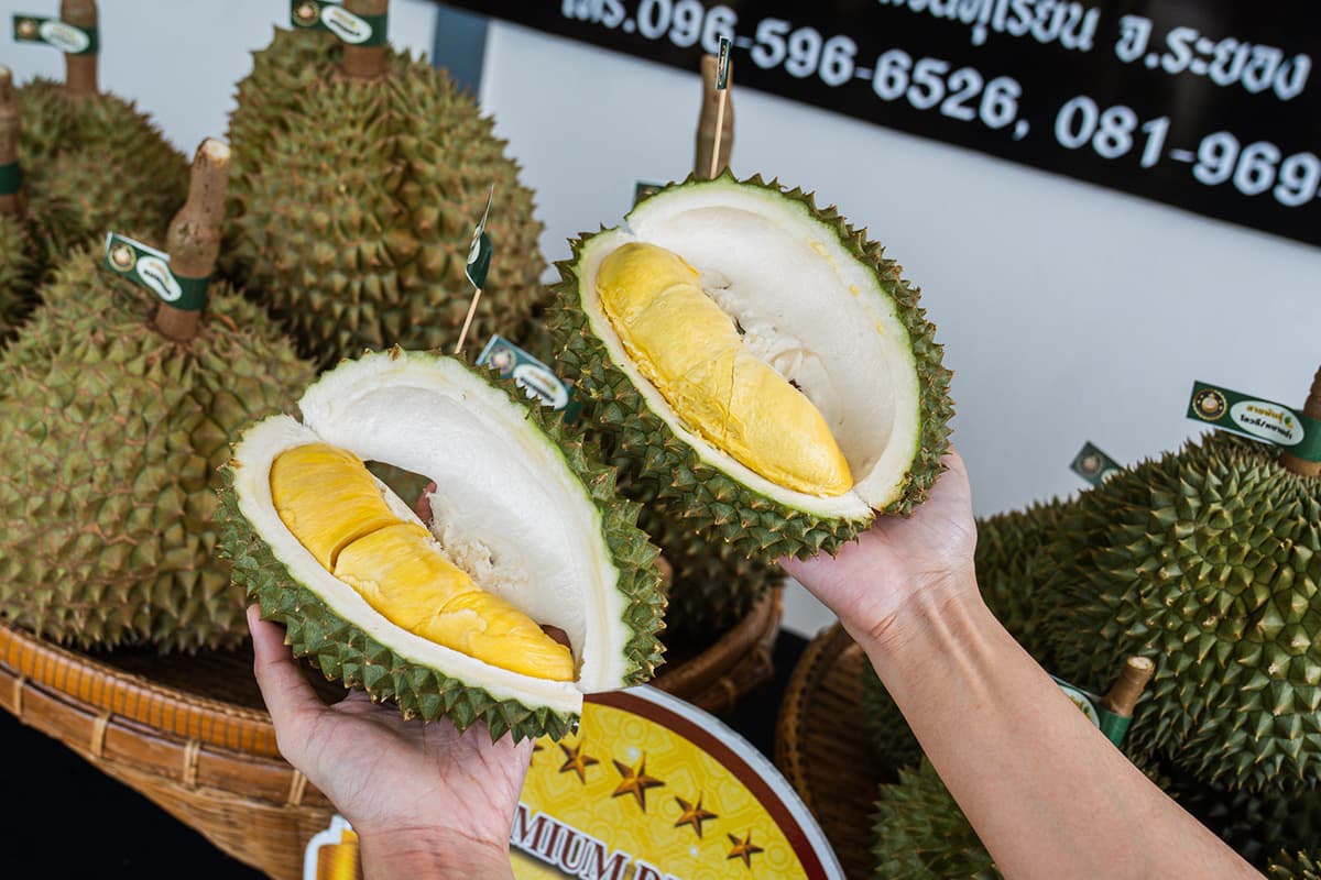 gi-durian-lover-SPACEBAR-Photo12.jpg