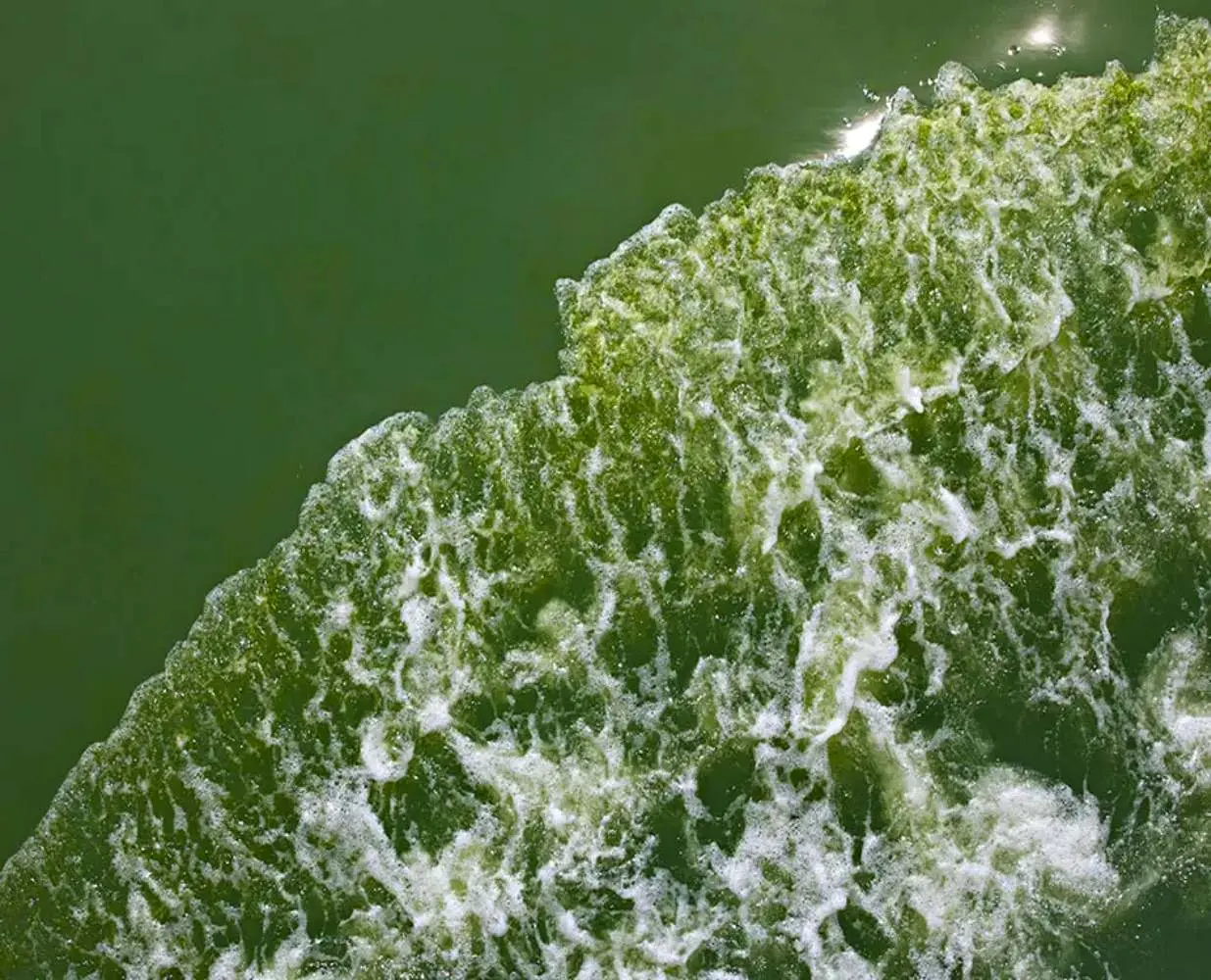 green-space-bangsaen-sea-color-change-plankton-bloom-2.jpg