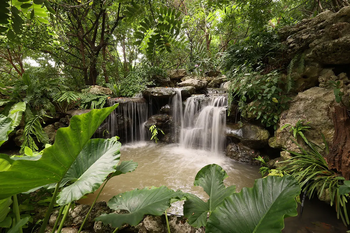 green-space-the-forestias-sdgs-sustainable-city-people-nature-SPACEBAR-Photo05.jpg