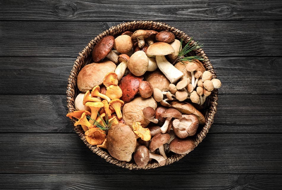 health_benefits_of_mushrooms_SPACEBAR_Thumbnail_6ef505f523.jpeg