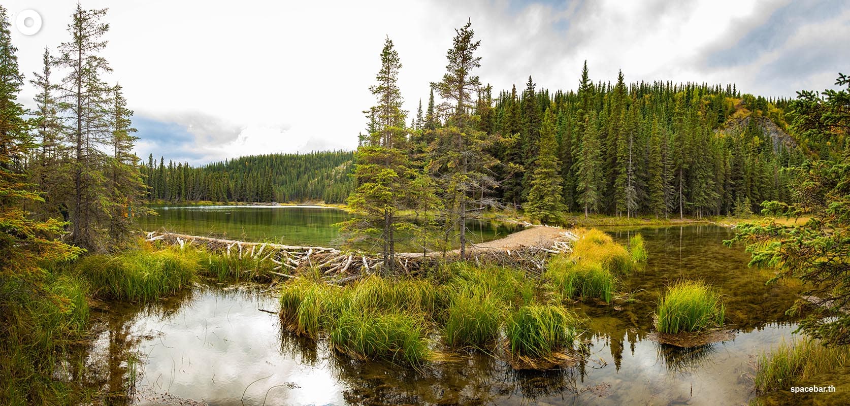 how_beaver_save_the_world_from_global_warming_SPACEBAR_Photo02_8616294736.jpg