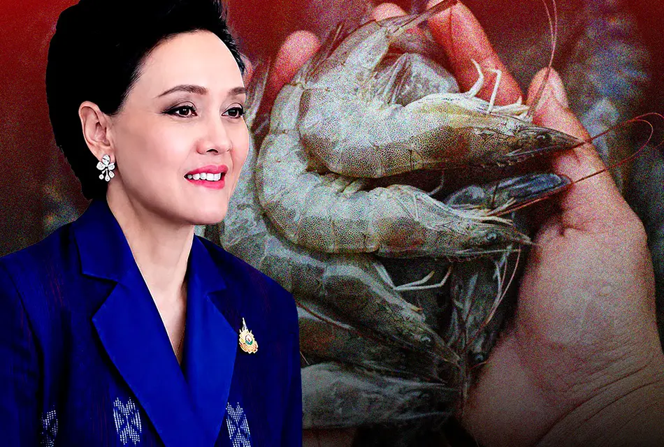 ศุภจี งัด 13 มาตรการดูดซับกุ้งไทย สู้ทุกช่องทางลดผลกระทบเกษตรกร