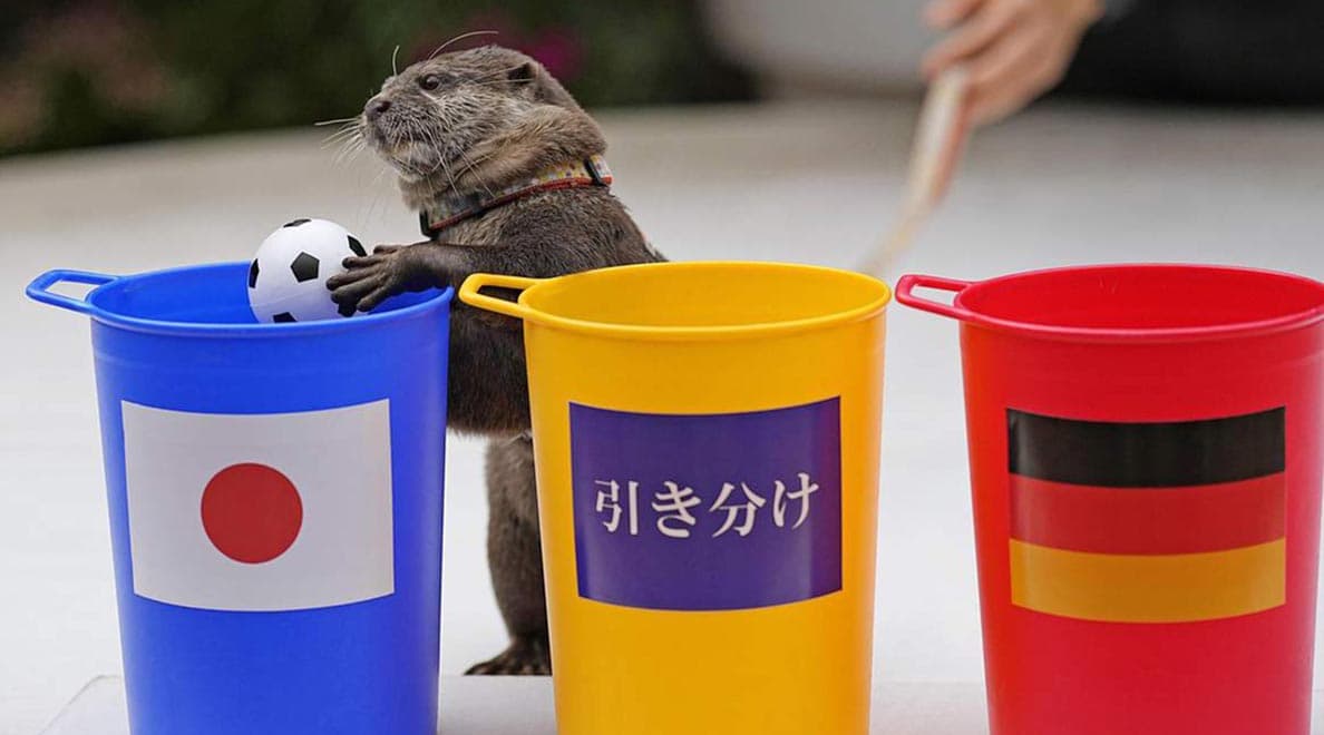 otter_predicted_japan_germany_world_cup_SPACEBAR_Hero_887e4acfde.jpeg