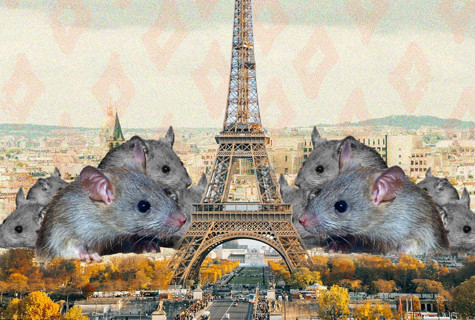 paris_france_heaven_of_rats_SPACEBAR_Thumbnail_099f2bf8b0.jpeg