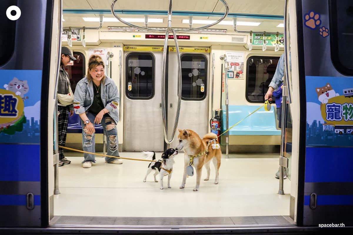 photo_story_taiwan_pet_friendly_train_SPACEBAR_Photo02_bb9c3a705c.jpg