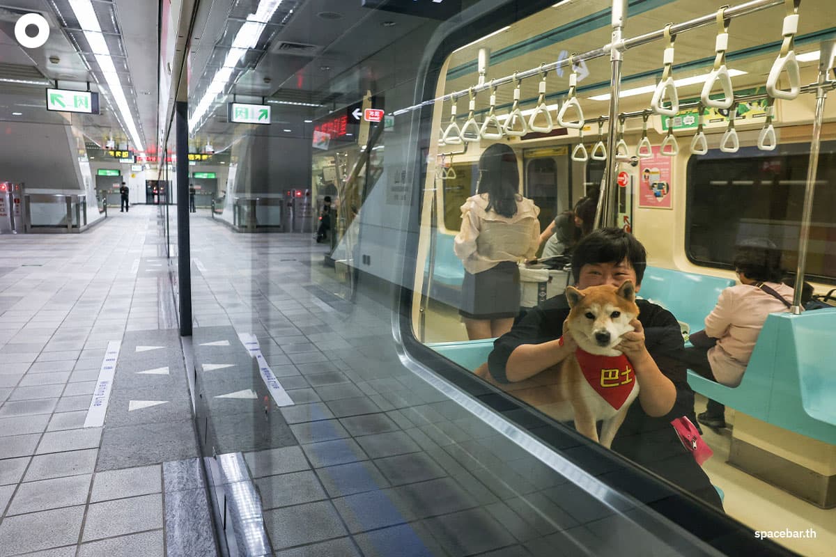 photo_story_taiwan_pet_friendly_train_SPACEBAR_Photo06_fa824bc62f.jpg