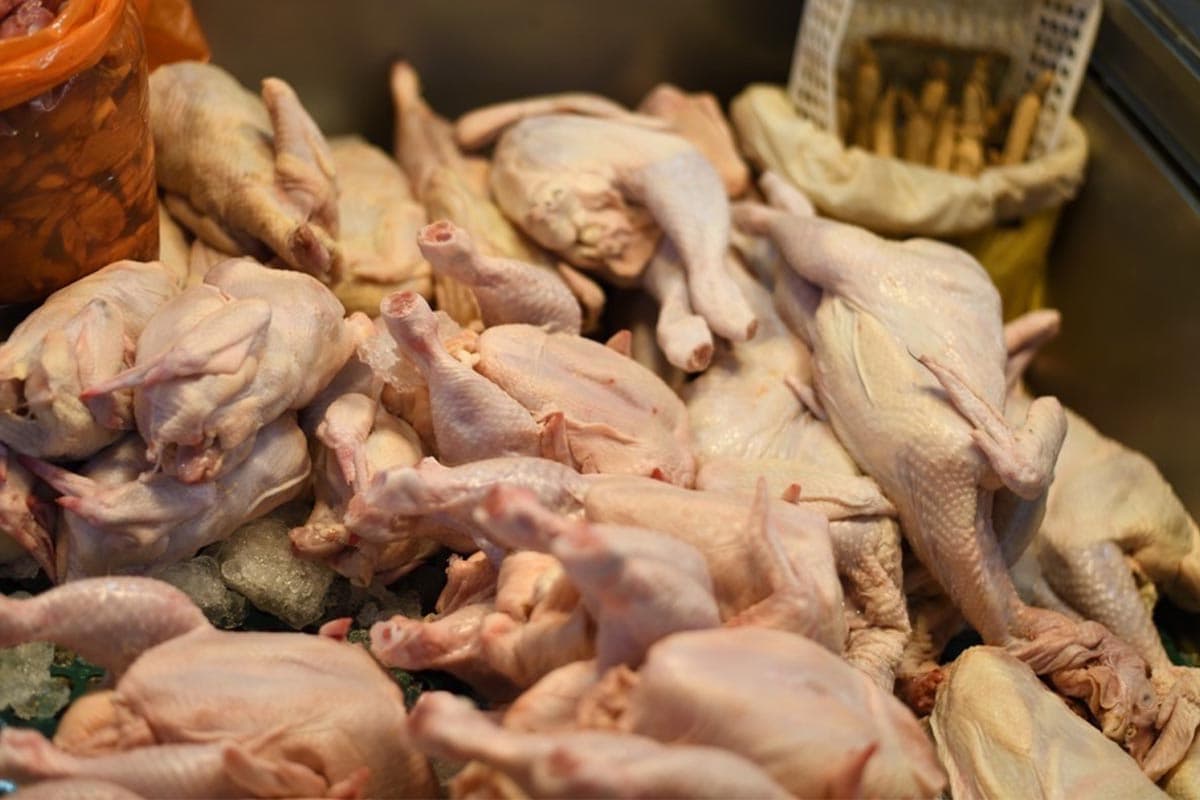 phumitham_chicken_thai_south_korea_need_demand_SPACEBAR_Photo02_2094601d55.jpg