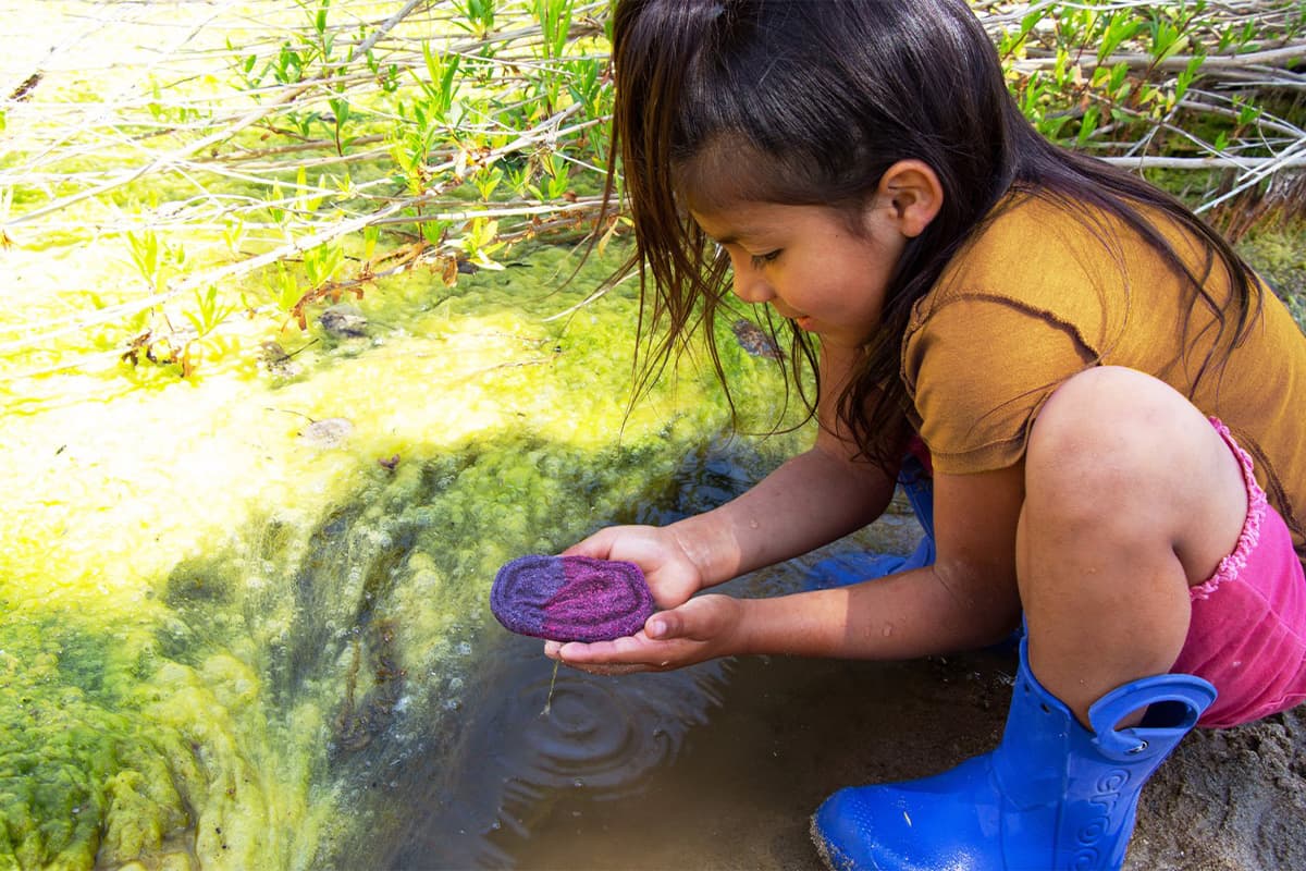 purple_cabbage_helps_detect_contaminated_water_SPACEBAR_Photo01_216ccd3f5b.jpeg