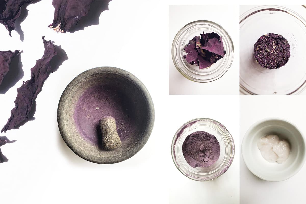 purple_cabbage_helps_detect_contaminated_water_SPACEBAR_Photo02_8695856614.jpeg