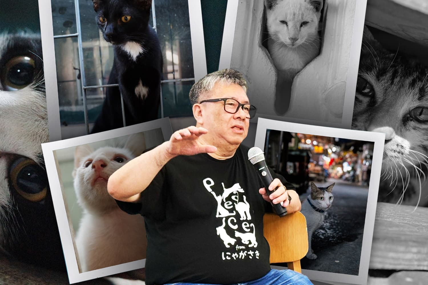 stray_cats_the_walking_story_of_a_cat_photographer_SPACEBAR_Hero_6f439f29e7.jpg