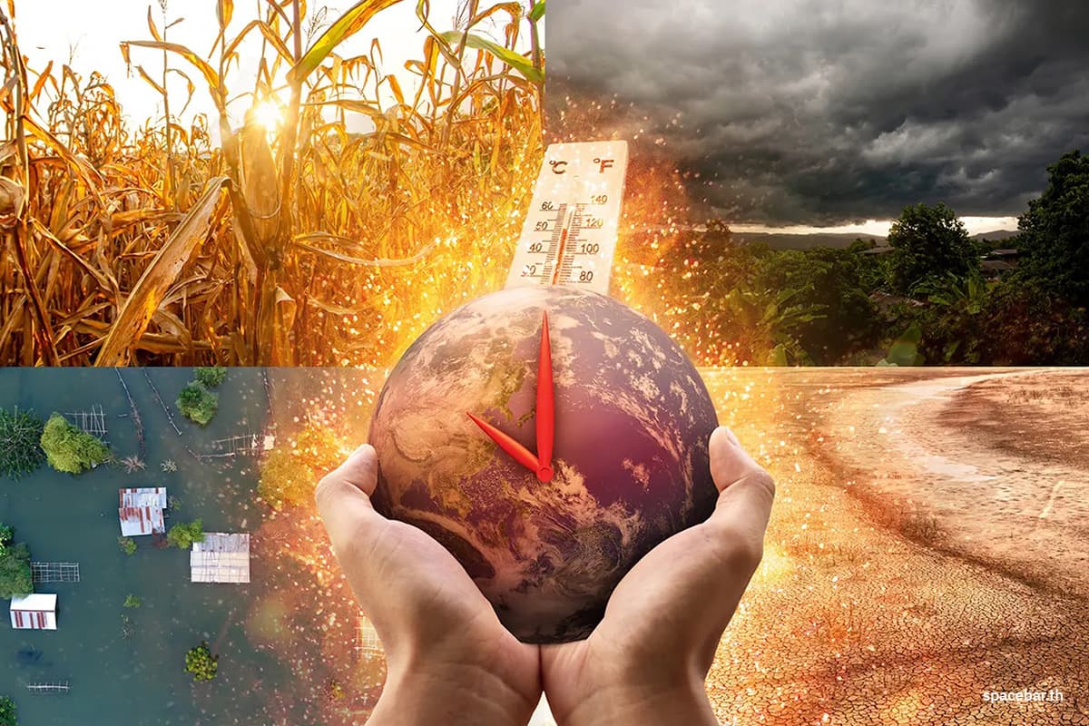 sustainability-global-adaptation-top-varawut-SPACEBAR-Photo02.jpg