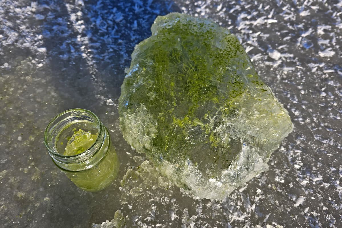 Green ice on Lake Lipno caused by cyanobacteria. Credit: Petr Znachor, BC CAS