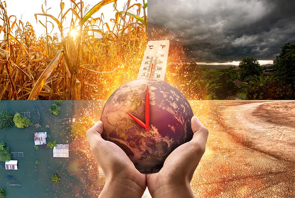 sustainability-new-enso-cycle-likely-by-end-of-2025-SPACEBAR-Thumbnail.jpg