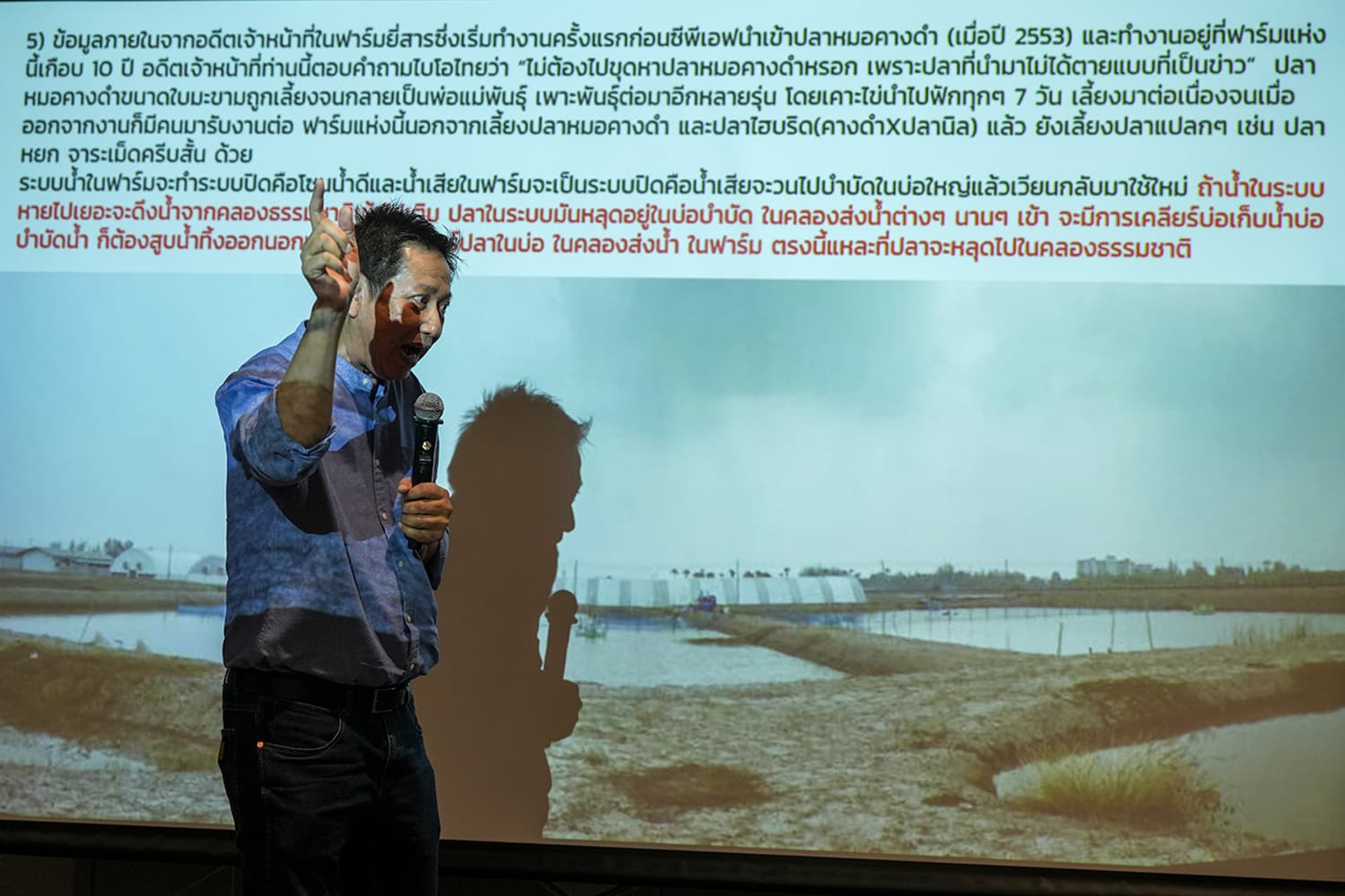 talk_blackchin_tilapia_26jul2024_SPACEBAR_Hero_eaa65c202c.jpg