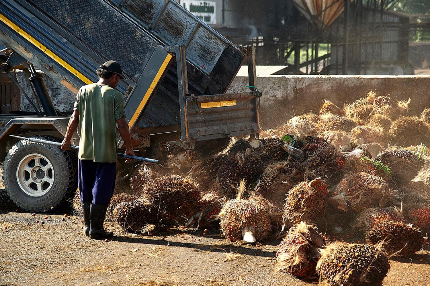 taspo_sustainable_palm_oil_industry_competitiveness_SPACEBAR_Hero_dc2a1cd807.jpg