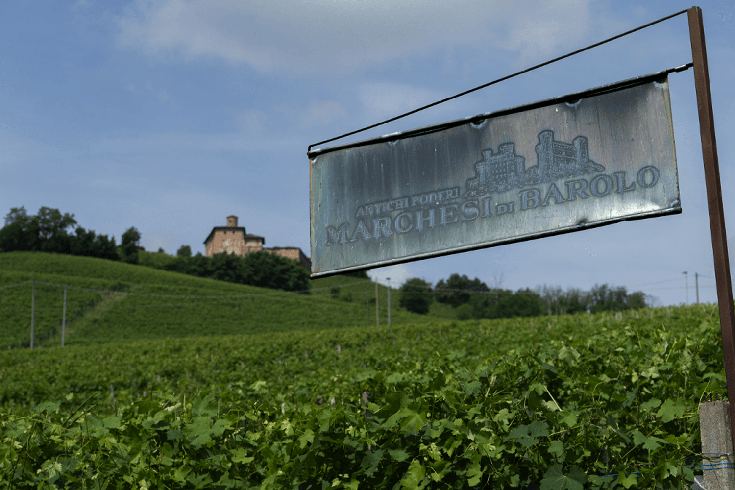 Texica ฉลองครบรอบ 16 ปี จัดงาน Perfect 20 – Italian Wine Journey รวมไวน์กว่า 100 ฉลากจาก 20 แคว้นทั่วอิตาลี