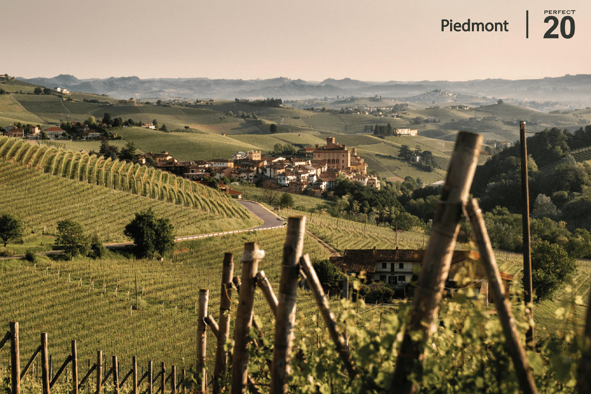 texica-16th-anniversary-perfect-20-italian-wine-journey-2026-SPACEBAR-Photo01.png