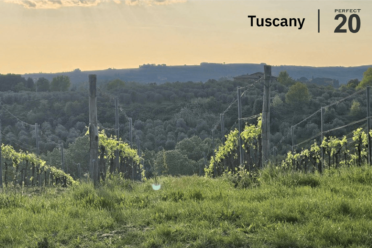 texica-16th-anniversary-perfect-20-italian-wine-journey-2026-SPACEBAR-Photo02.png