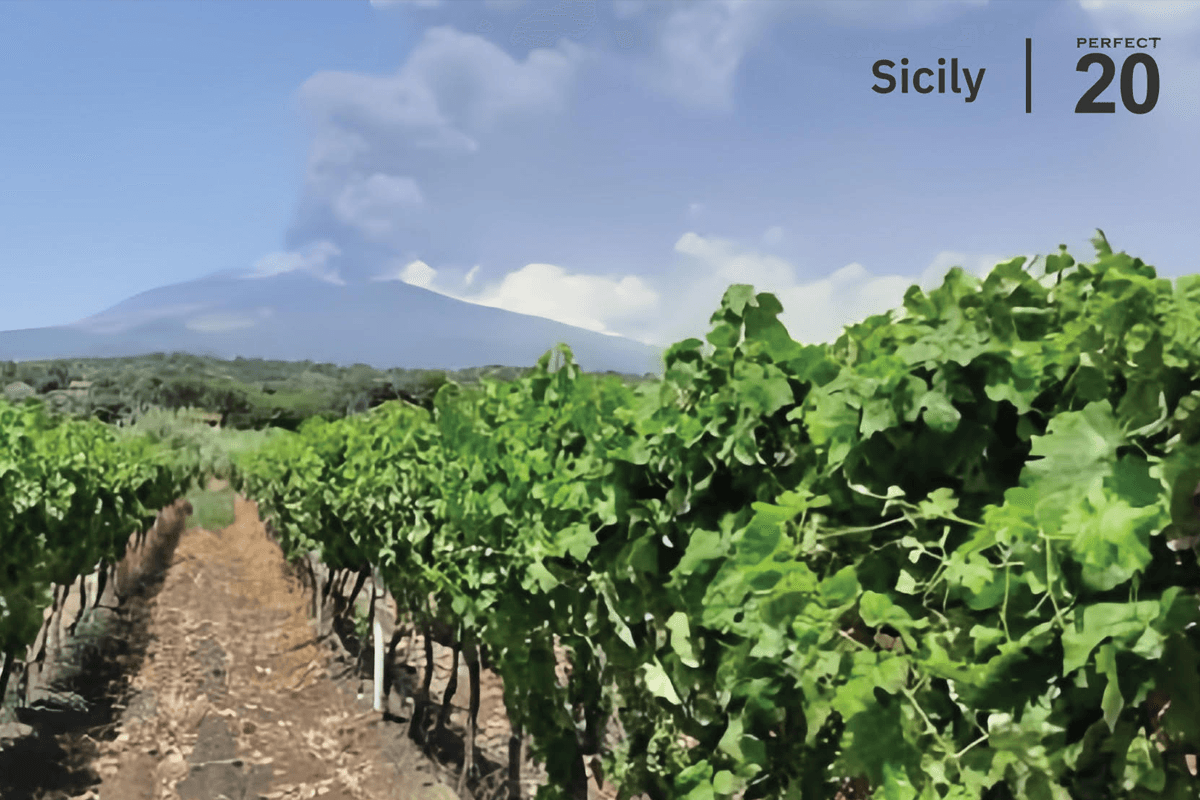 texica-16th-anniversary-perfect-20-italian-wine-journey-2026-SPACEBAR-Photo03.png